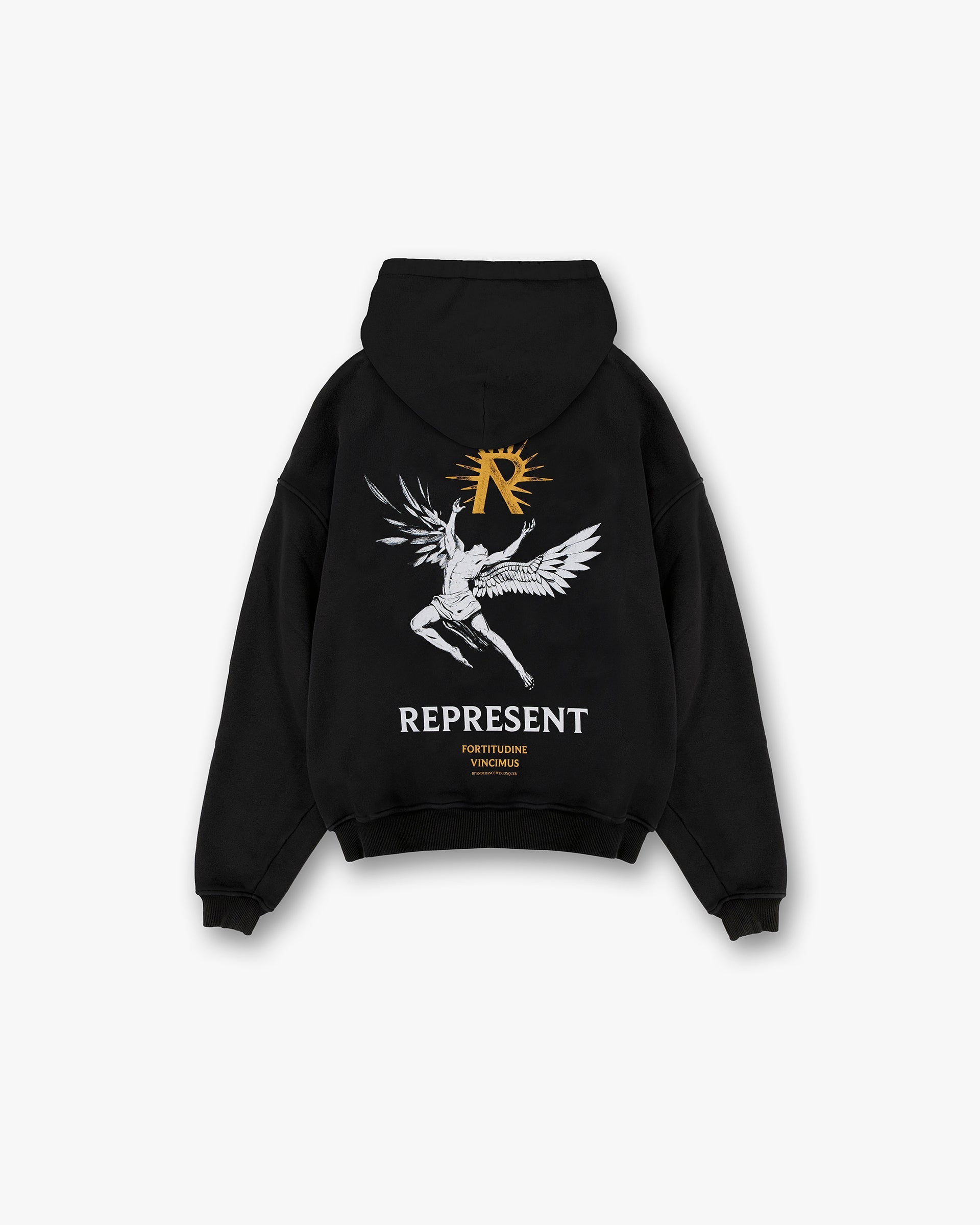Back product image of a mens black hoodie on a plain white background | Icarus Hoodie in Jet Black | Oversized hoodie with Icarus graphic and ribbed hem and cuffs | SS24 Hoodies | Represent Clo