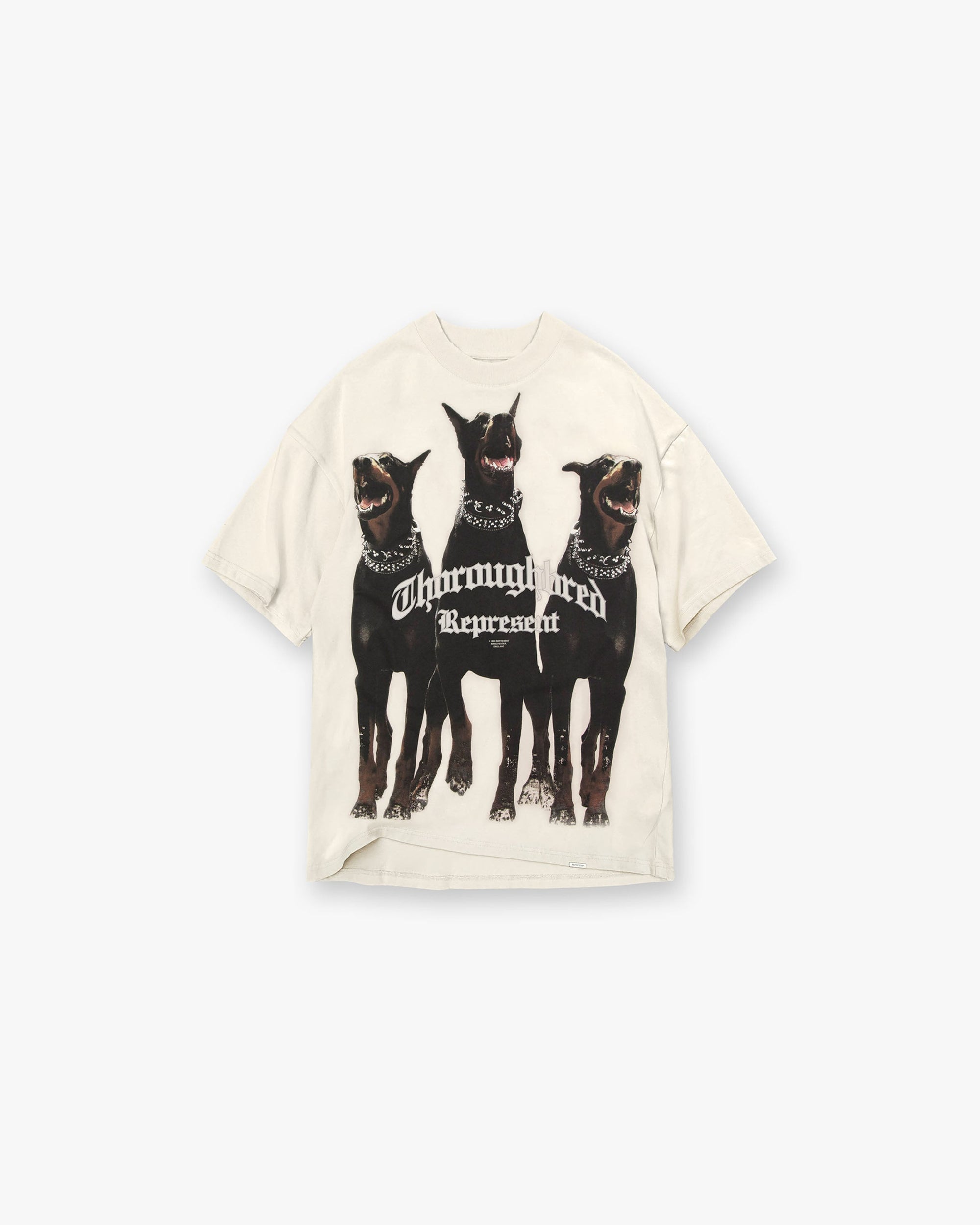 Front product image of a mens white t-shirt on a plain white background | Thoroughbred T Shirt in Vintage White | Classic cotton t-shirt | FW21 T-Shirts | Represent Clo