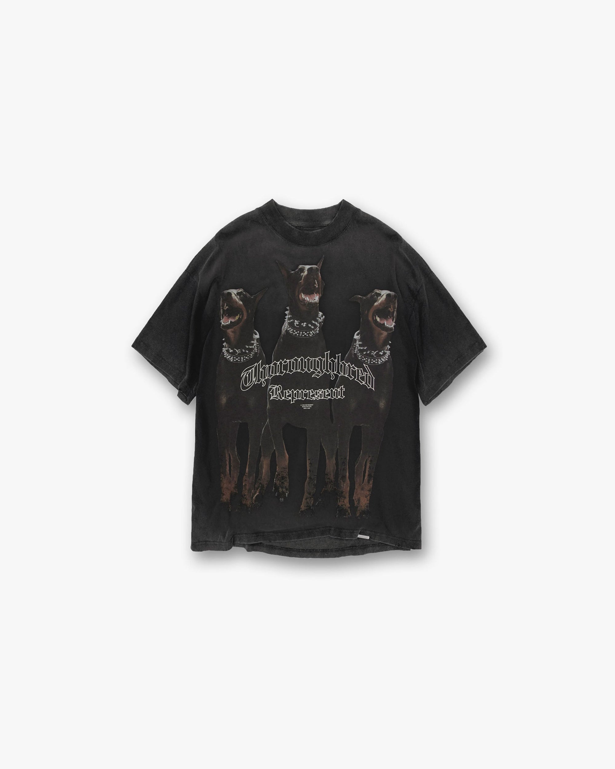 Front product image of a mens black t-shirt on a plain white background | Thoroughbred T-Shirt in Vintage Black | Soft cotton t-shirt | FW21 T-Shirts | Represent Clo