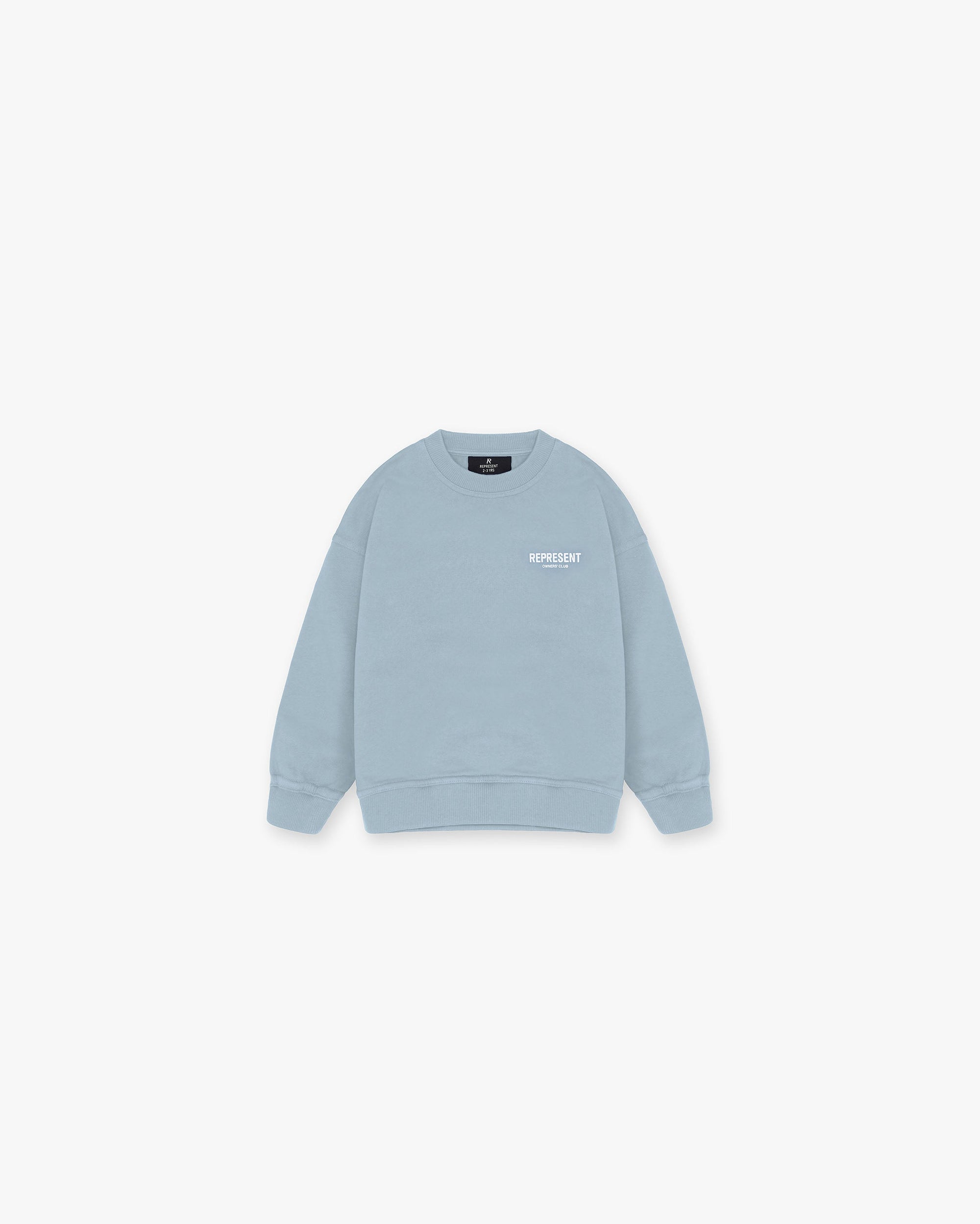 Back product image of a childrens blue sweater on a plain white background | Represent Mini Owners Club Sweater in Powder Blue | Oversized sweater with screen printed graphic | Owners Club Sweaters | Represent Clo